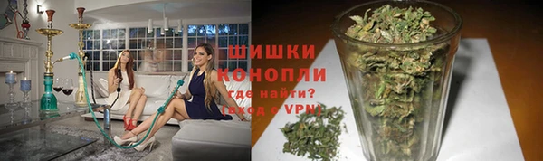 прущий лед Богданович