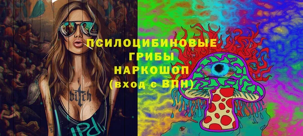 прущий лед Богданович