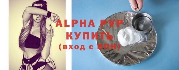 прущий лед Богданович