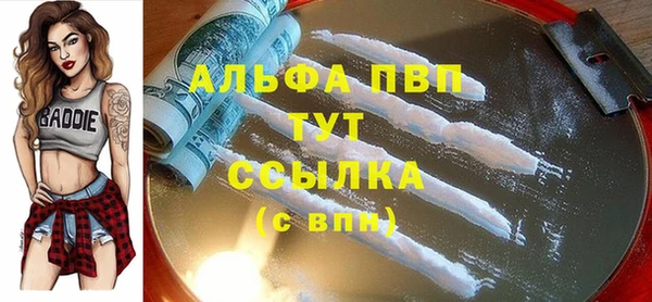 прущий лед Богданович