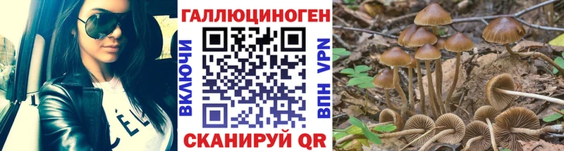 Псилоцибиновые грибы Magic Shrooms  Дмитровск 